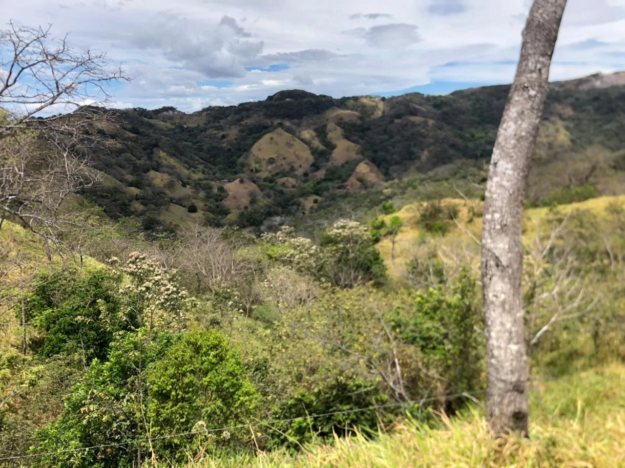 10 acre Dream Mountain Farmland near Monteverde - Gallery image 4