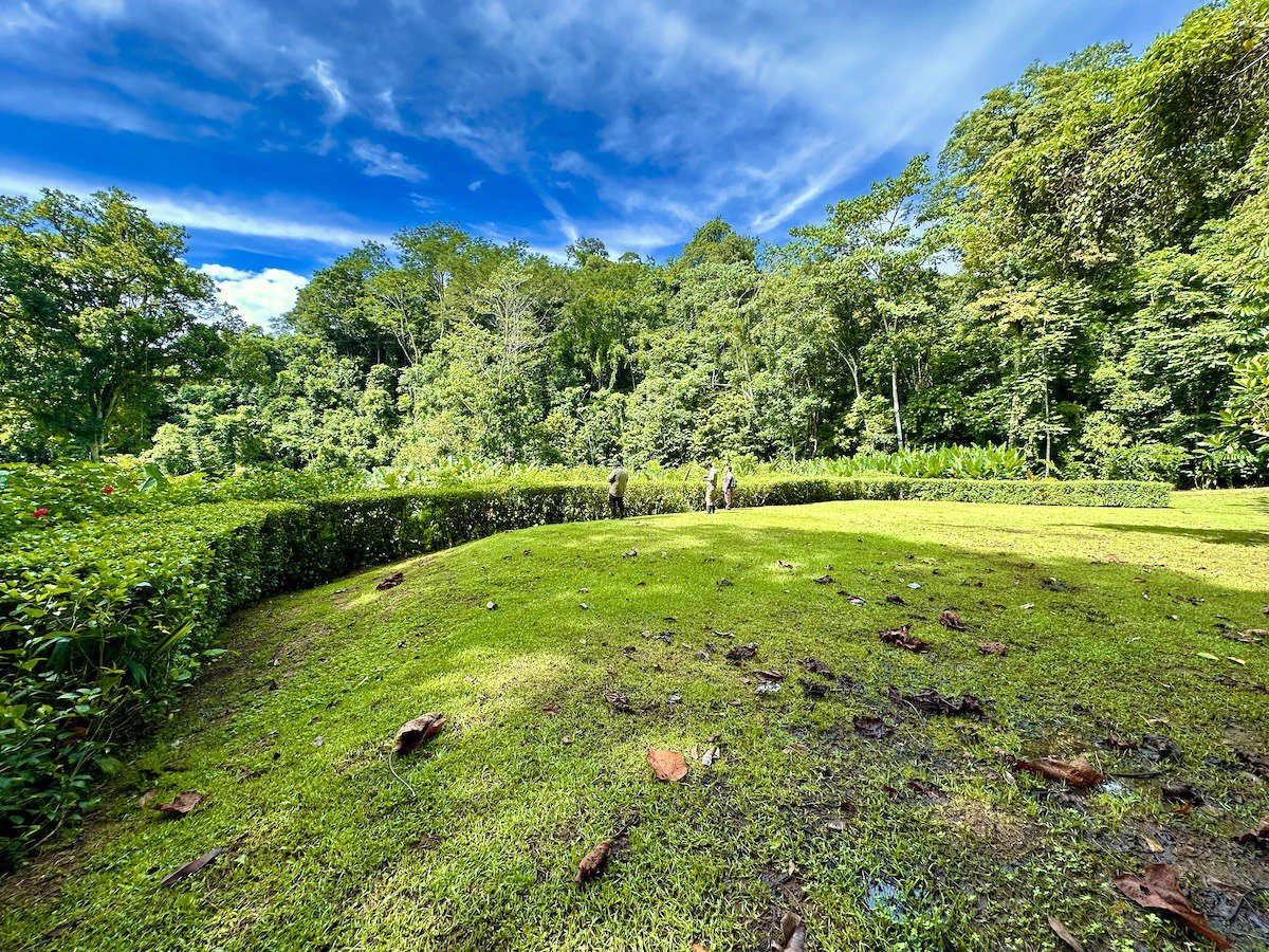Spectacular Coastal Rainforest Estate Property - Gallery image 17