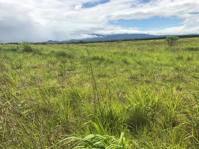 Large Development Land for Sale in Liberia, Guanacaste, Costa Rica - Gallery image 42