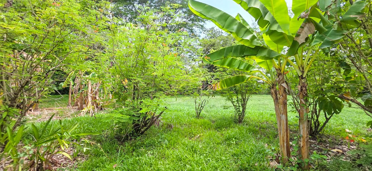 Casa Amaya: Charming House With Large Lot In Nosara - photo 19