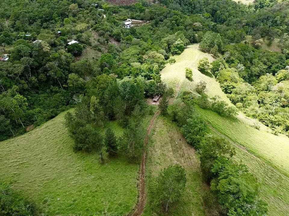 54 Acre Ranch in San Vito, Coto Brus - Gallery image 33