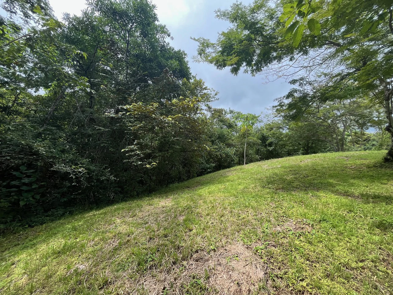 6000m2 Ready to Build Lot in Delicias: Great Price with Project and Permits included - Gallery image 4