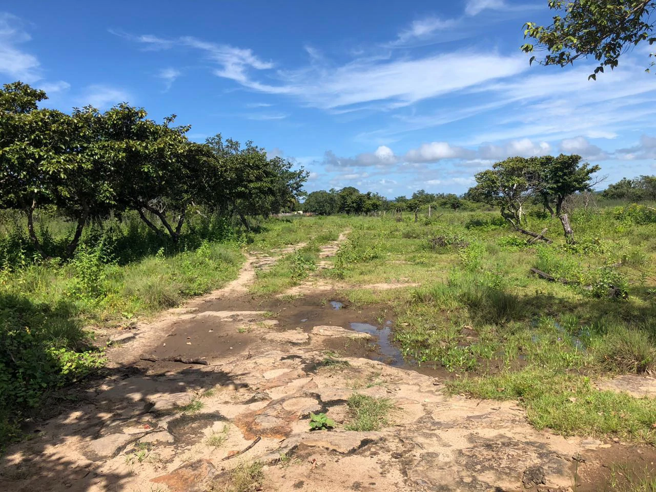 Great investment opportunity, property adjacent to Liberia Airport - Gallery image 12
