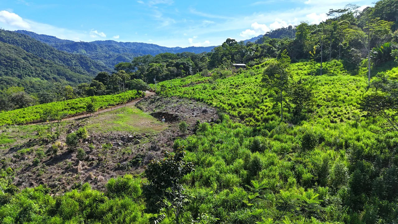Near the Coast and Mountain Home Construction Site For Sale in Uvita - Gallery image 8