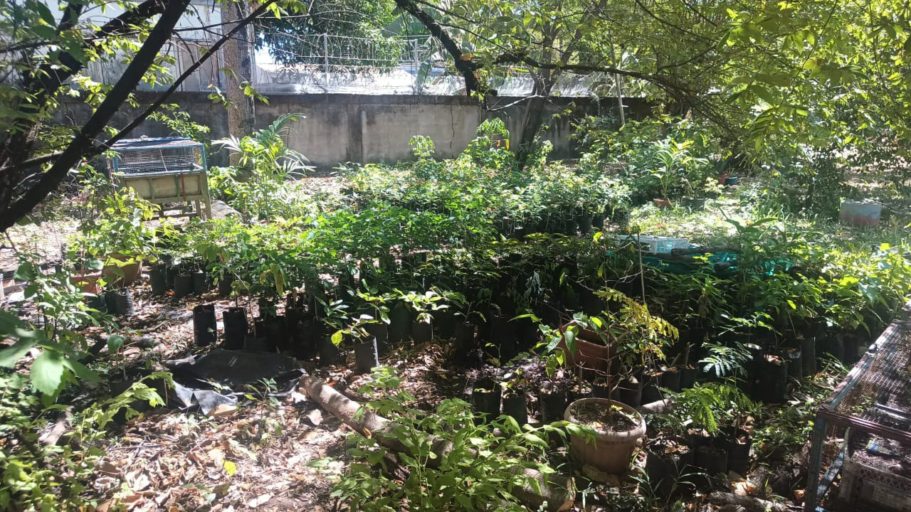 Prime Lot, very close to the beach for sale in the center of Playas del Coco - Gallery image 13