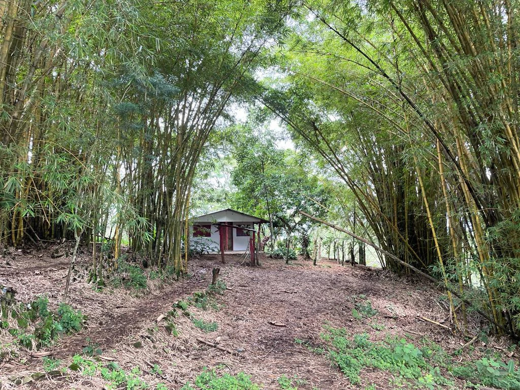 Farm for sale Puriscal Close to Universidad para la Paz Costa Rica - Gallery image 4