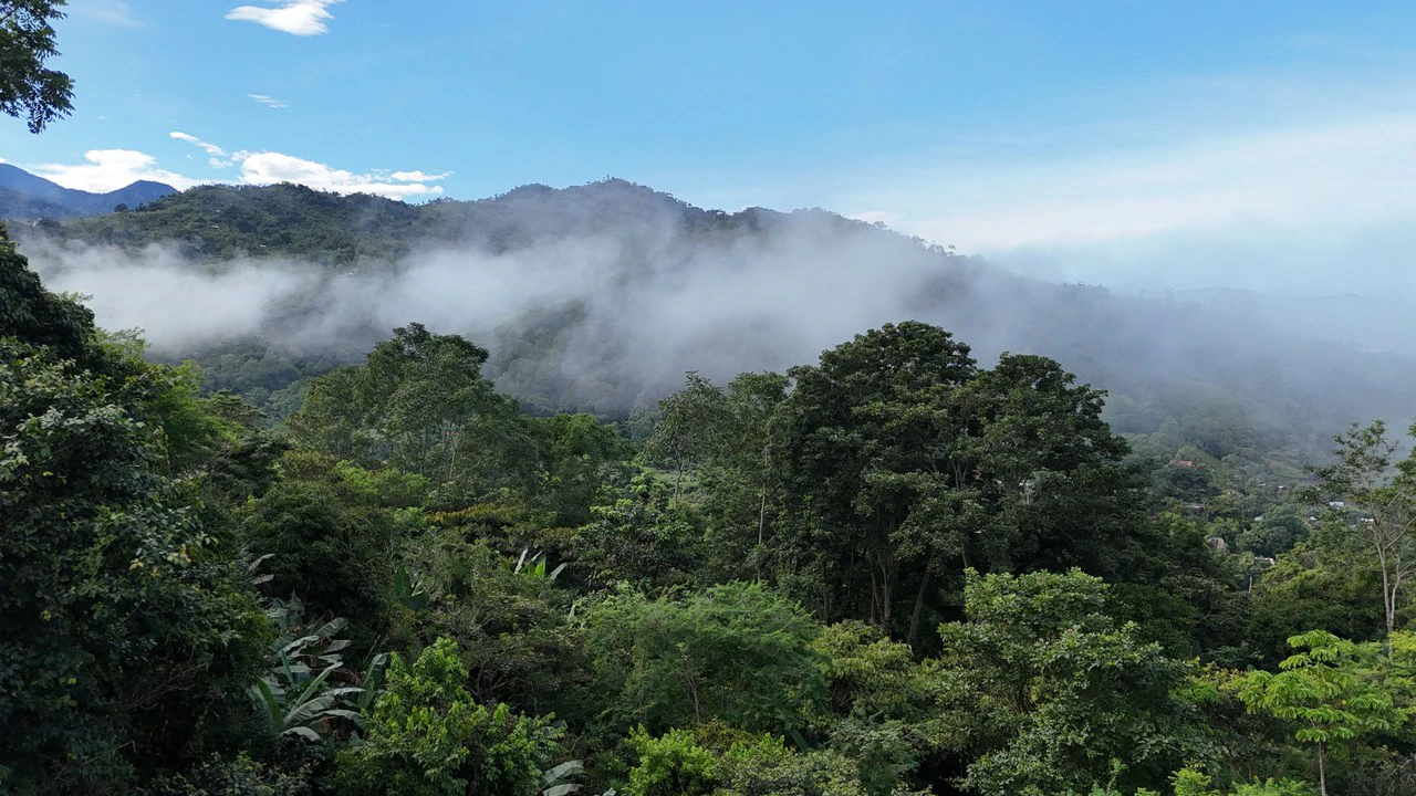 Lote en Chimirol.: Mountain Home Construction Site For Sale in Buena Vista - Gallery image 6
