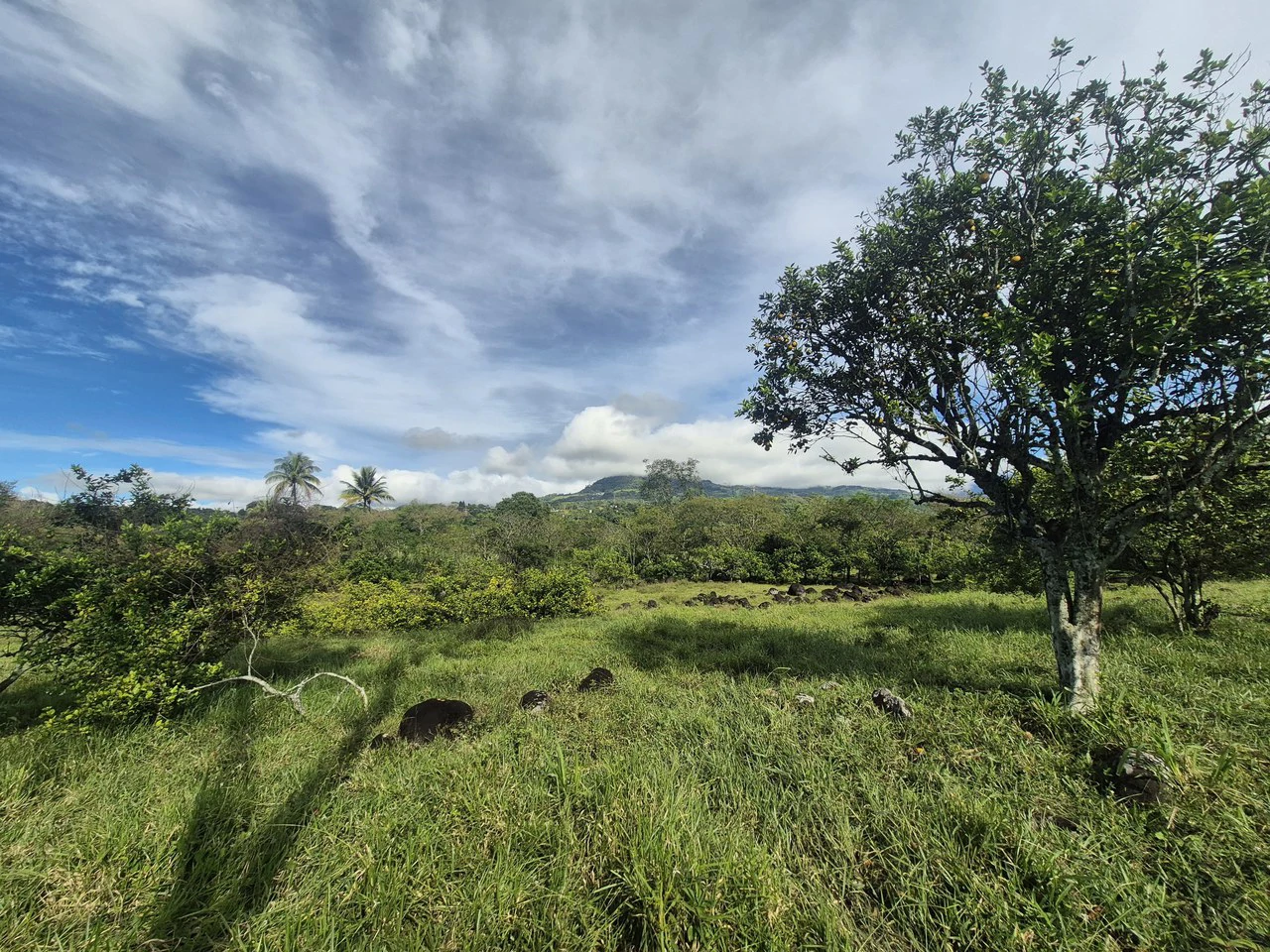 Home Construction Site For Sale in Centro de Pérez Zeledón - Gallery image 11