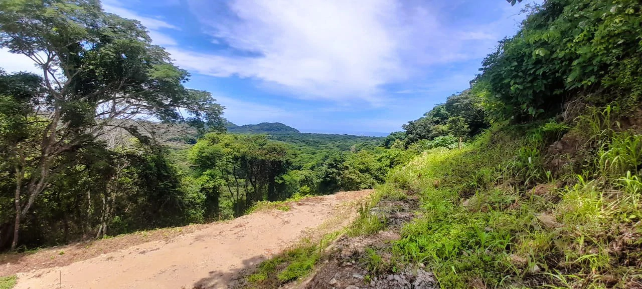 Buena Vista Ocean View Lot: Countryside and Mountain Home Construction Site For Sale in Buena Vista - Gallery image 9
