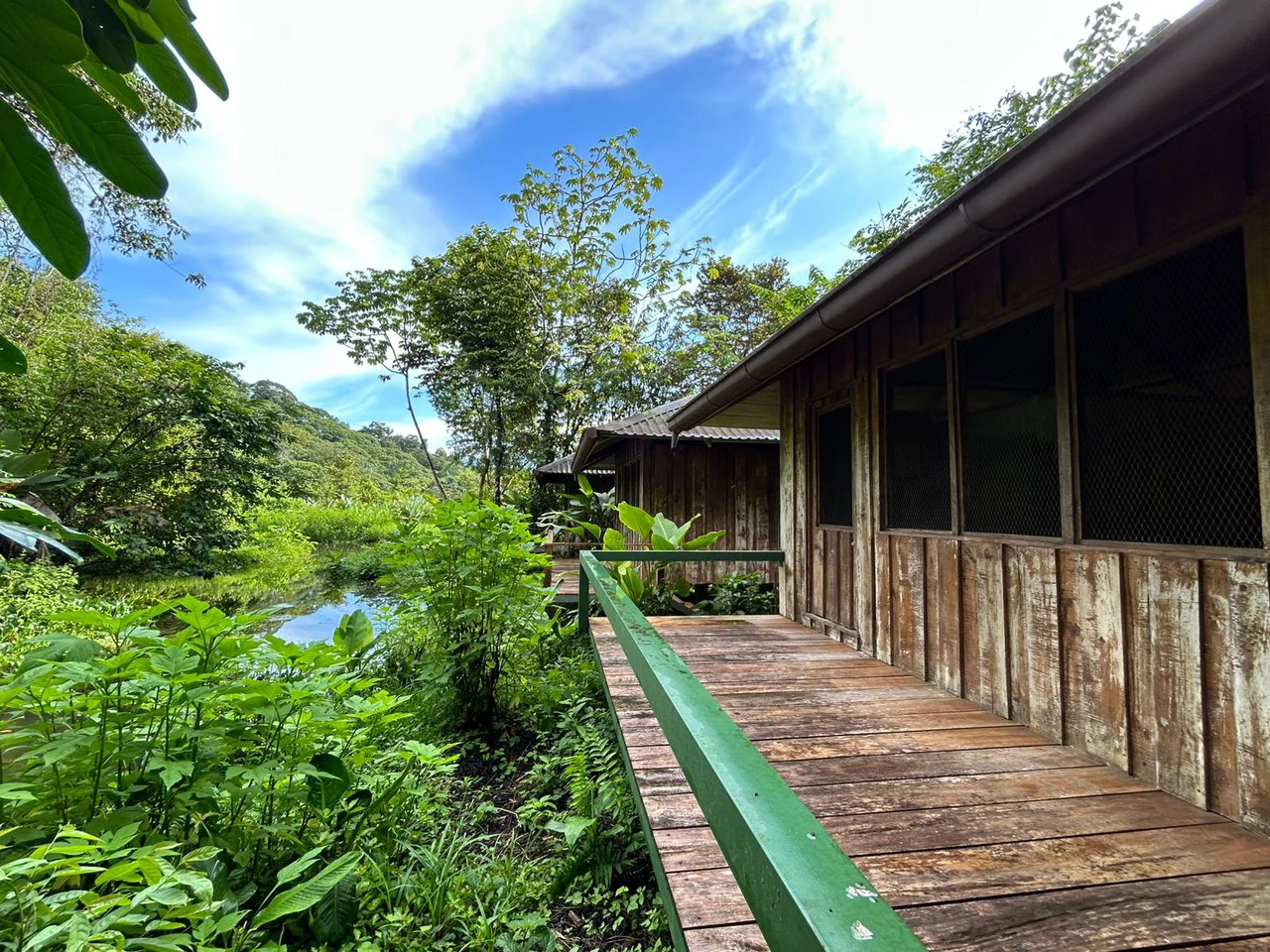 60 Acre Fully Sustainable and Impactful Conservation Initiative Near Golfito: Mountain Multi Unit Building For Sale in Golfito - Gallery image 41