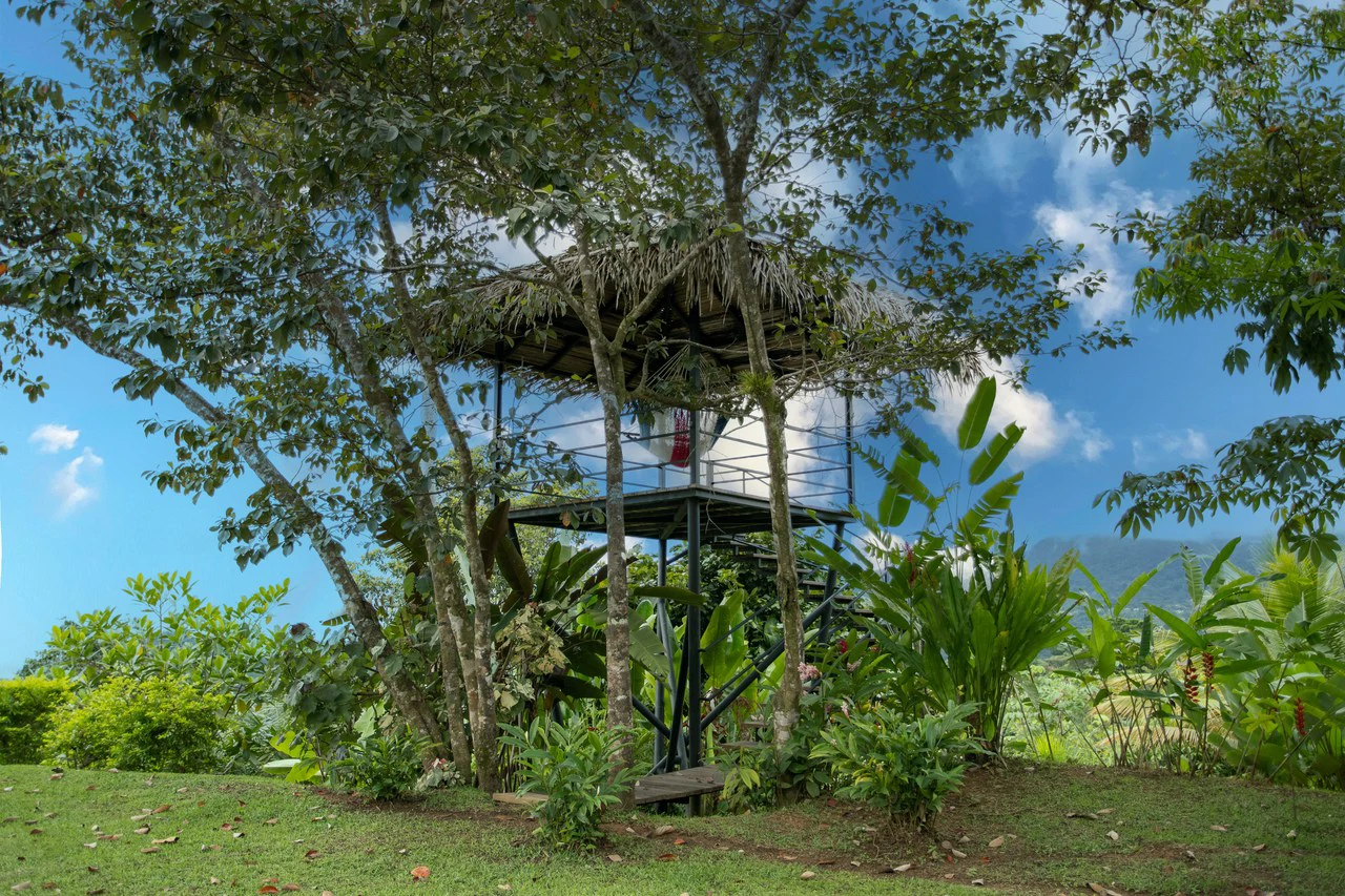 Ocean View Home Perezoso Road, Ojochal - Gallery image 56