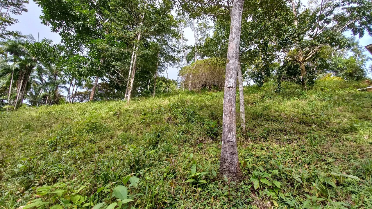 Home with Additional Building Areas and Creek on 3.5 Acres - Gallery image 51