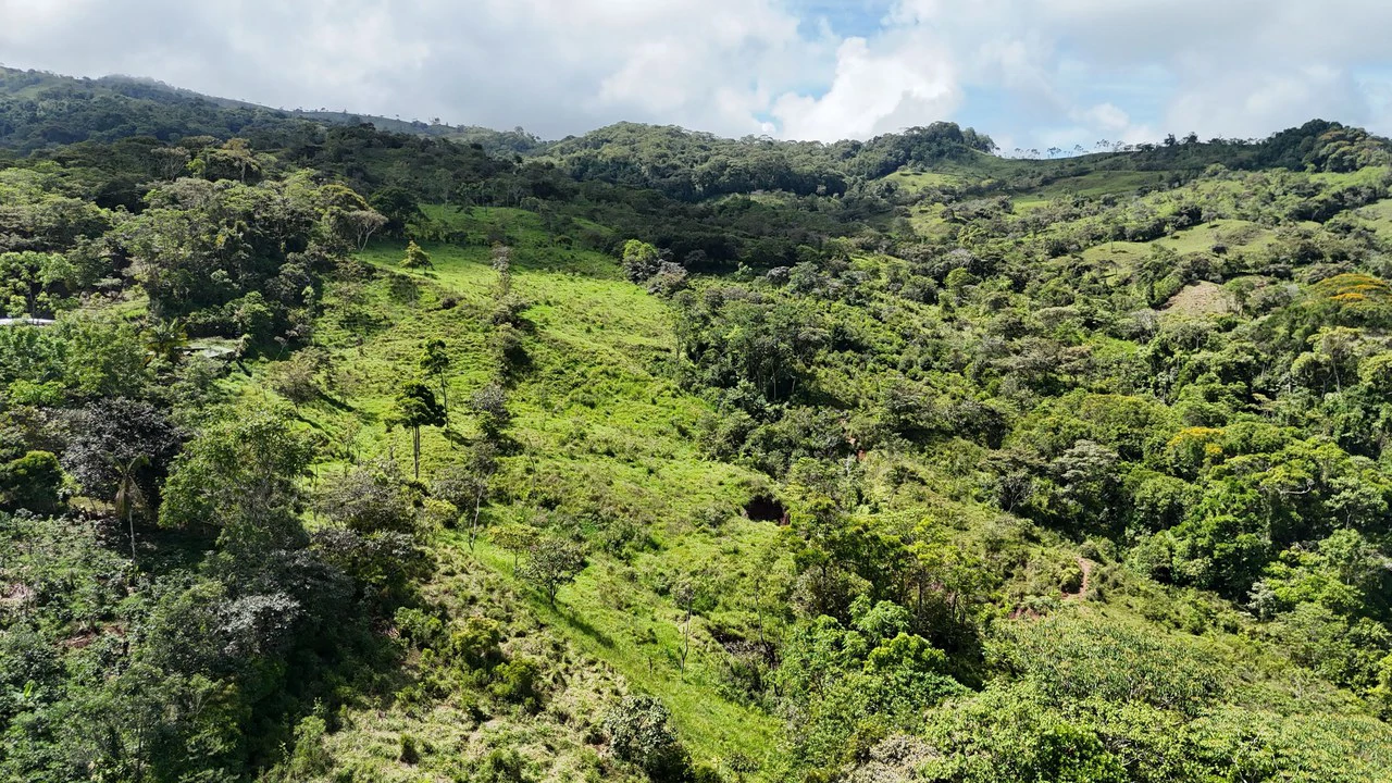 FINCA EN MIRAFLORES: Mountain Agricultural Land For Sale in El General - Gallery image 5