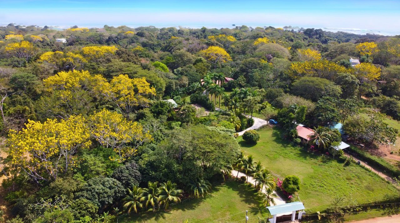 Villa Palmas Real: Villa Palma Royal with Modern Luxury and Natural Charm with horse stables in Las Delicias Santa Teresa - Gallery image 18