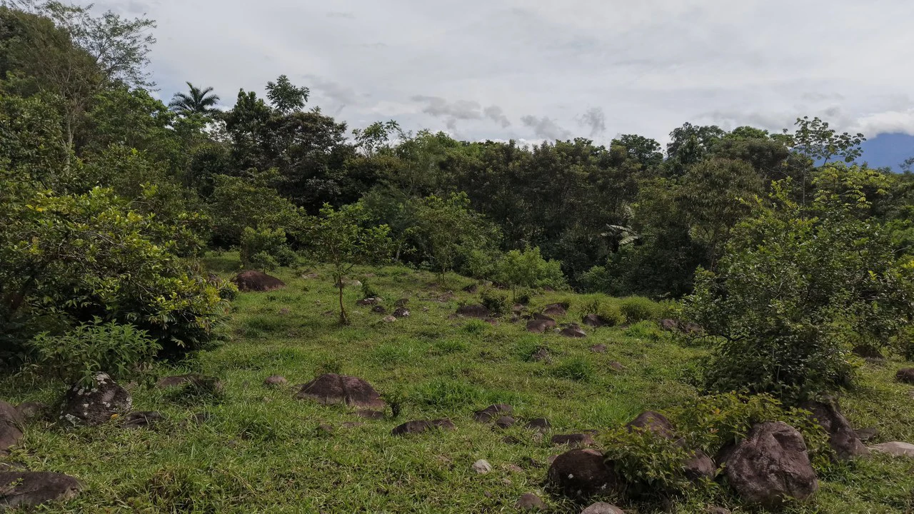 Mountain Home Construction Site For Sale in San Isidro del General - photo 6
