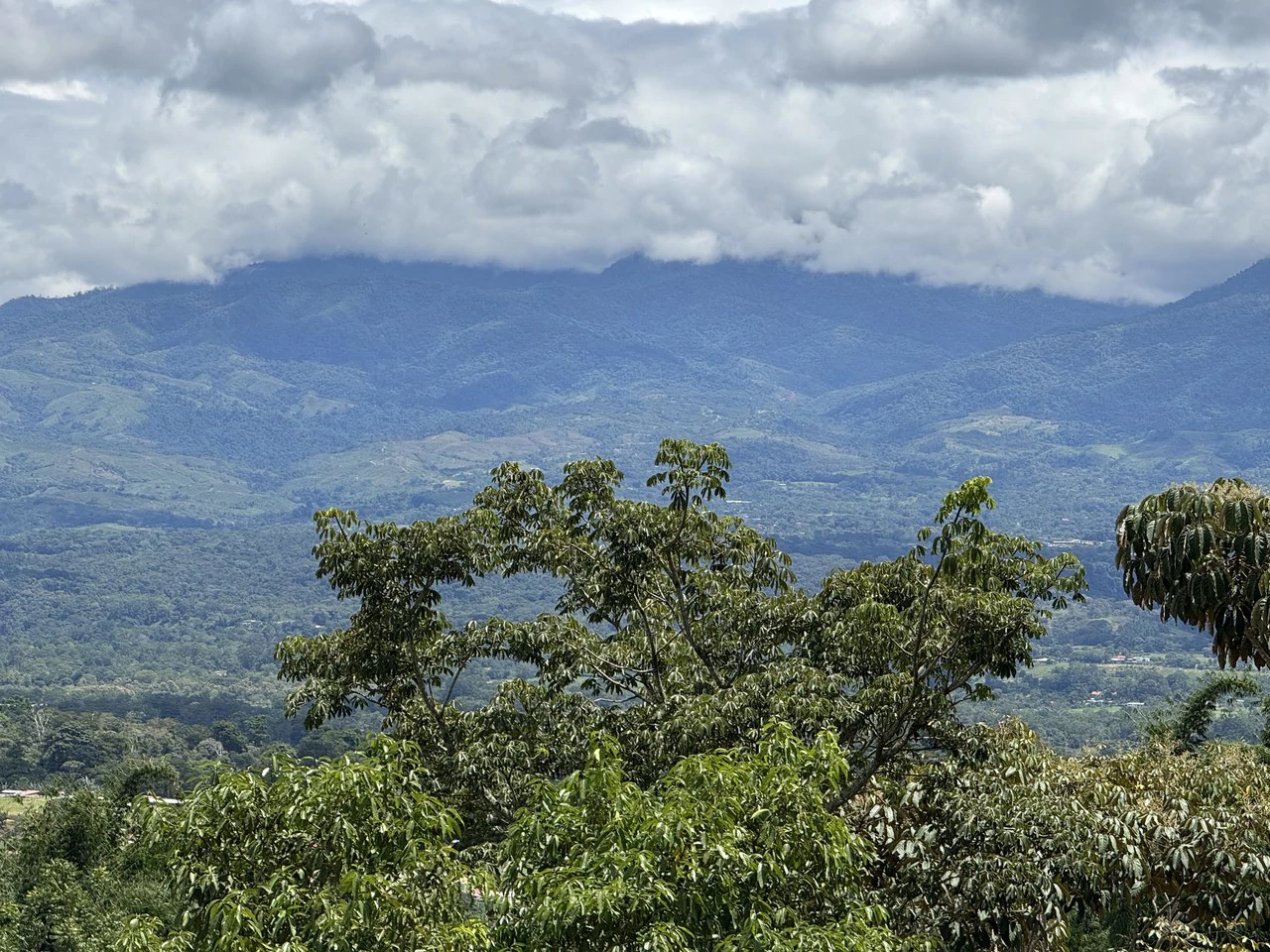 Prime 40,000 Sq. Ft. Building Lot with Mountain & Valley Views in Pérez Zeledón - Gallery image 14