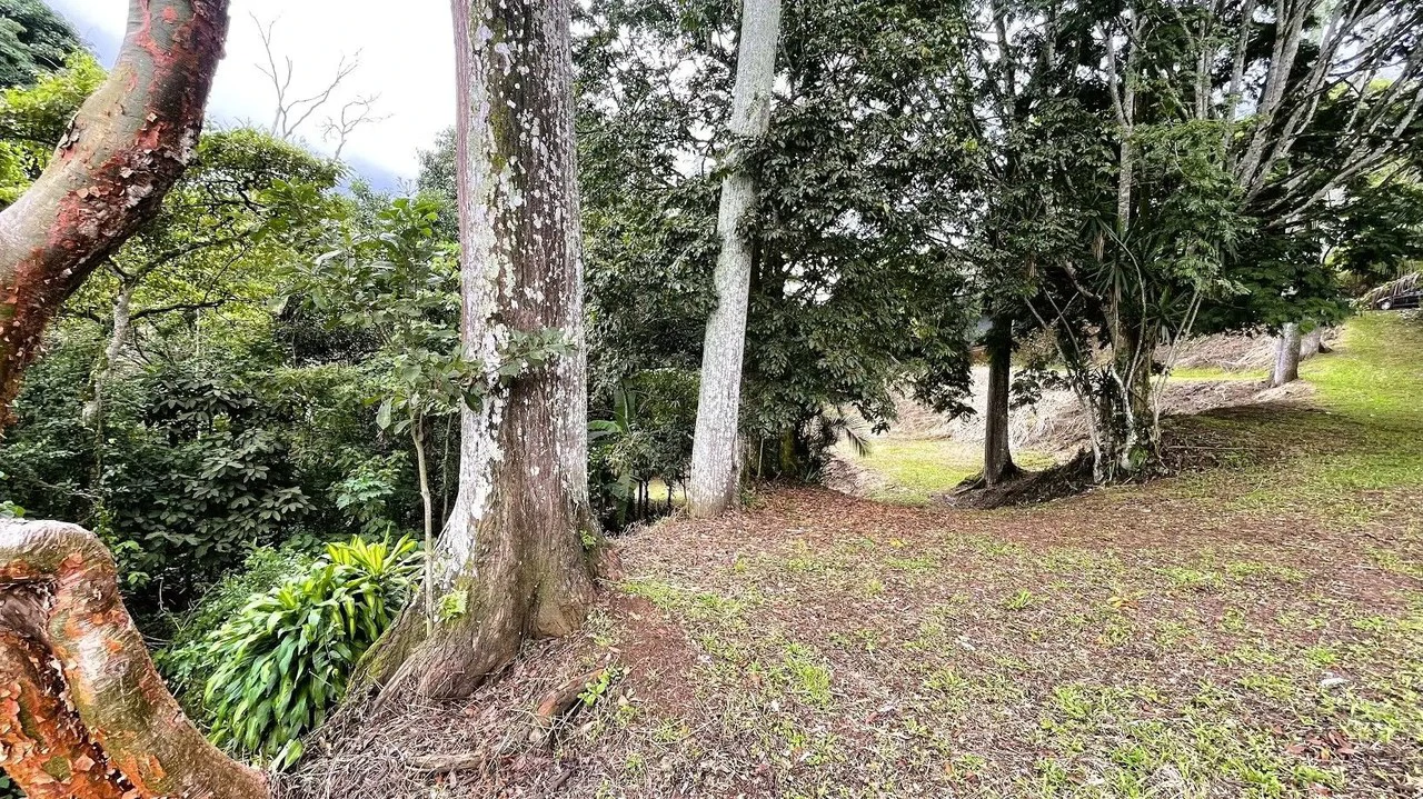 LAND FOR SALE IN SAN MIGUEL, NARANJO - Gallery image 7