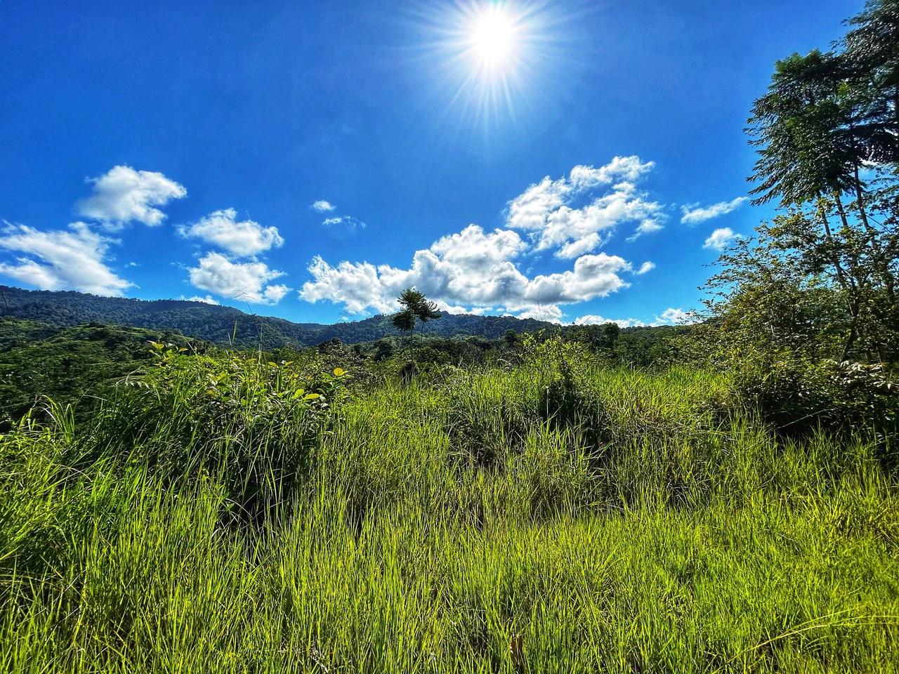 Exclusive Two-Lot Oasis: Your Dream Home Awaits in Gated Paradise! - Gallery image 19