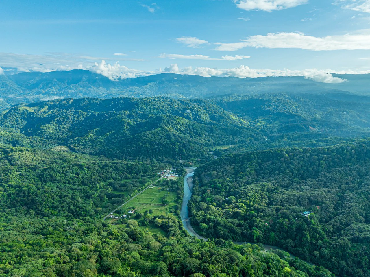 Rare 86-Acre Ocean View Estate Bordering Hacienda Barú – A Unique Opportunity for Conservation and Development - Gallery image 8