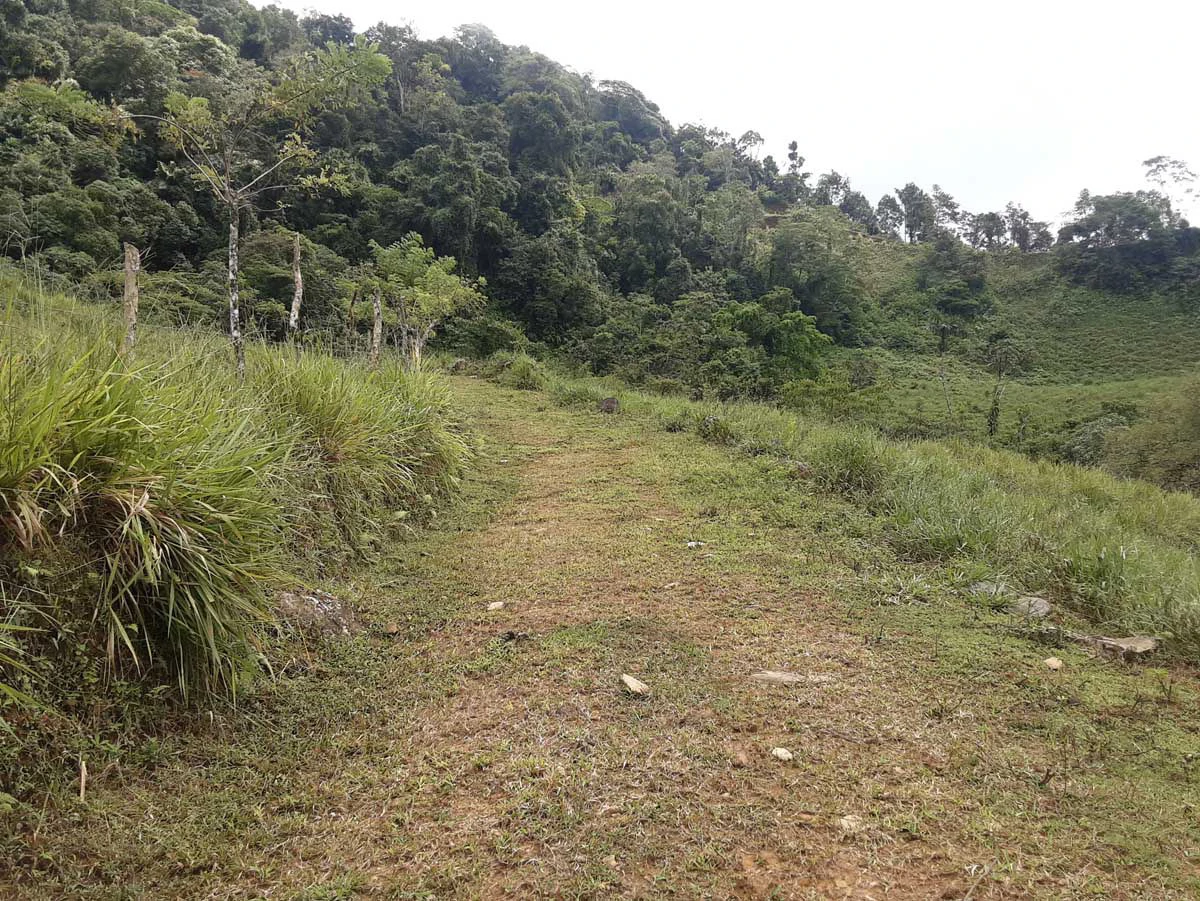 Finca Tesoro Escondido - The Jewel of Uvita - Gallery image 63