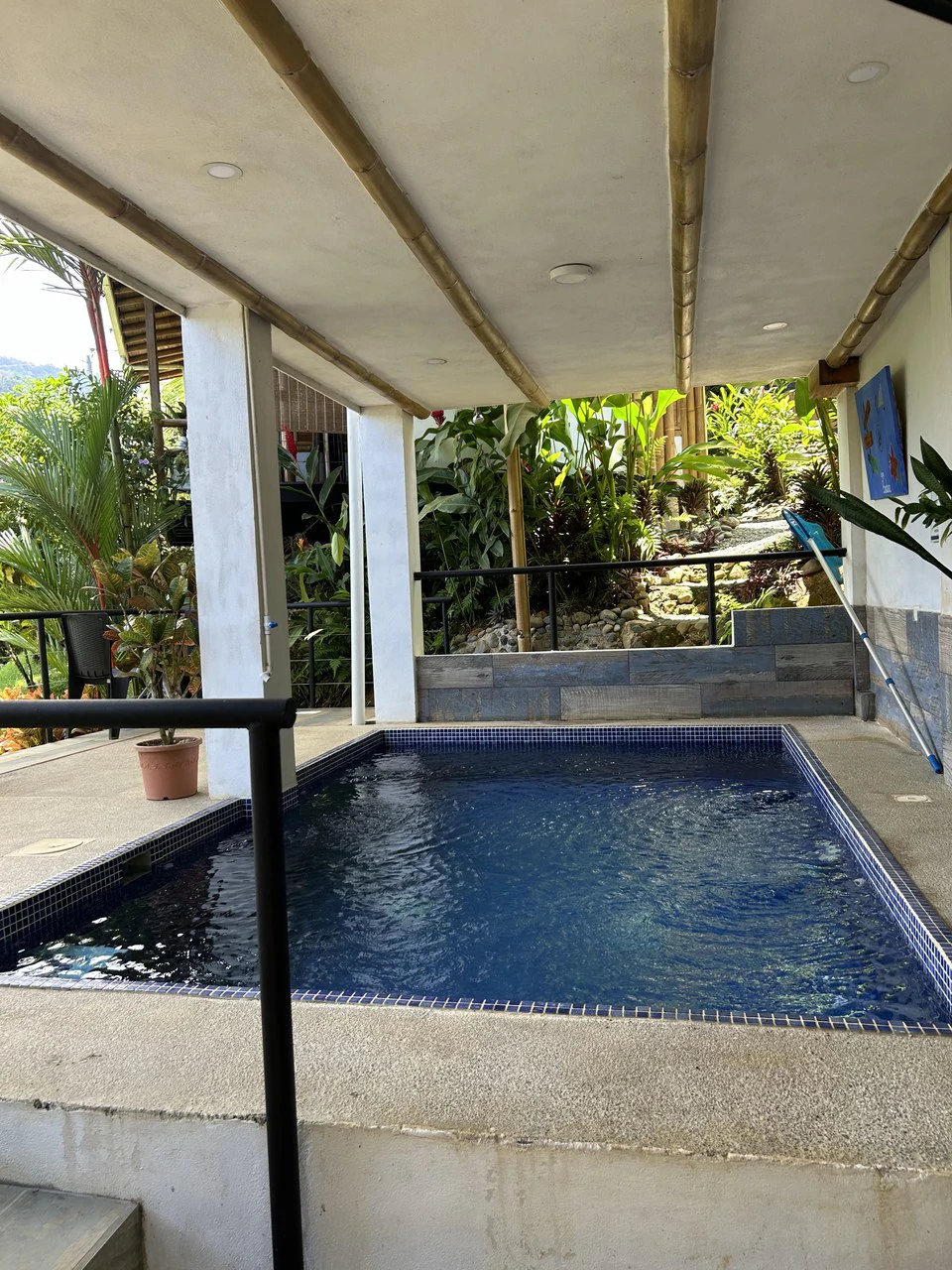 Cabinas Bambura: Cabinas Bambura: Successful Airbnb Business with Stunning Mountain & Jungle View - Gallery image 19