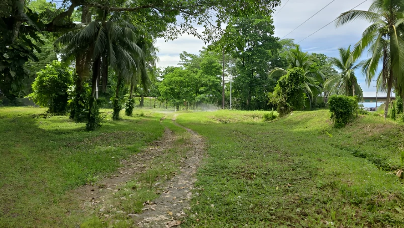 Near the Coast Development Parcel For Sale in Moin