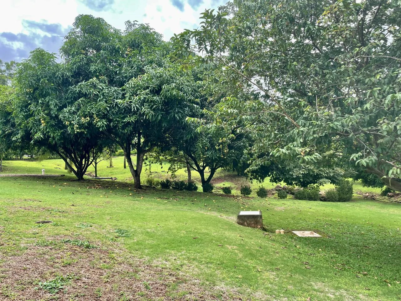 Opportunity Home for Sale in Orotina San Mateo Alajuela Costa Rica - Gallery image 25