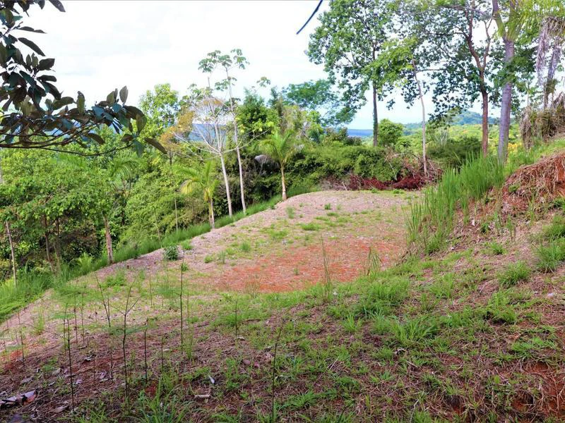 Captivating 3.15-Acre Property: Huge Pricedrop! Firesale Oceanview Lot in Tres Rios - Gallery image 31