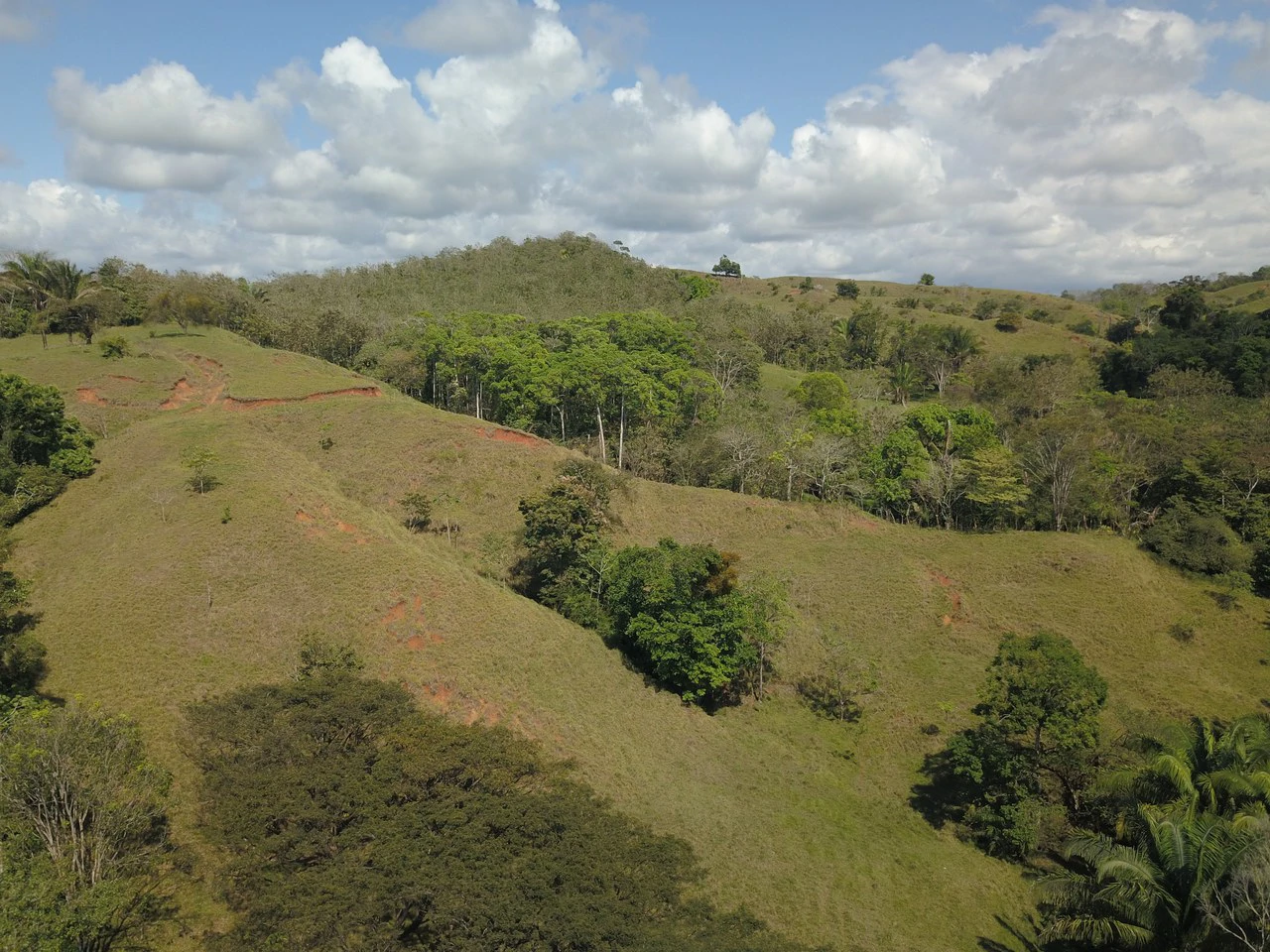 Finca Guapinol de Parrita: Near the Coast, Mountain and Countryside Agricultural Land For Sale in Parrita - Gallery image 8