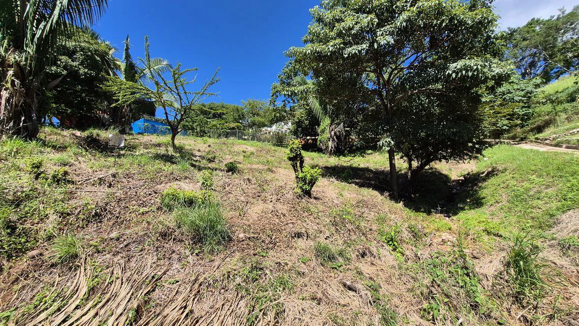 LOTE ALTO: Last Affordable 857 m² Lot in Peaceful Santo Domingo Village, Just 10 Minutes from Samara Beach - Gallery image 6