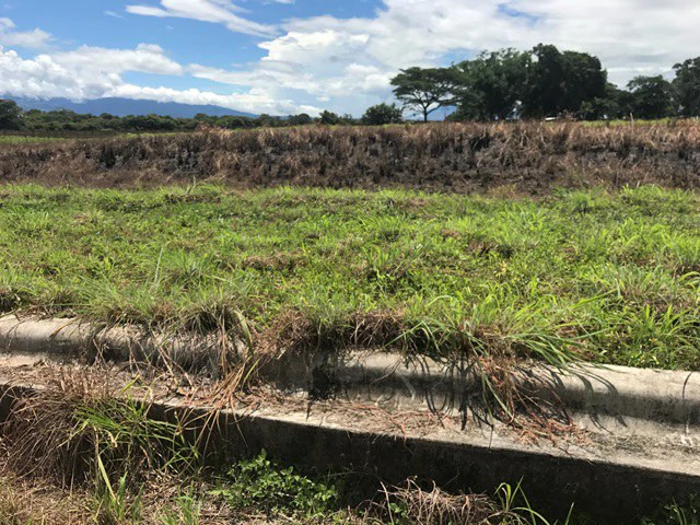 Large Development Land for Sale in Liberia, Guanacaste, Costa Rica - Gallery image 64