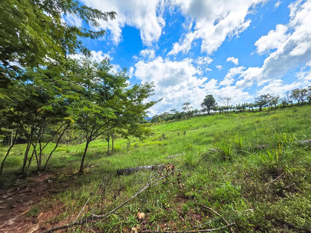 35 Acre Finca - A Natures Lover Or Developers Dream With Stunning Views - photo 10