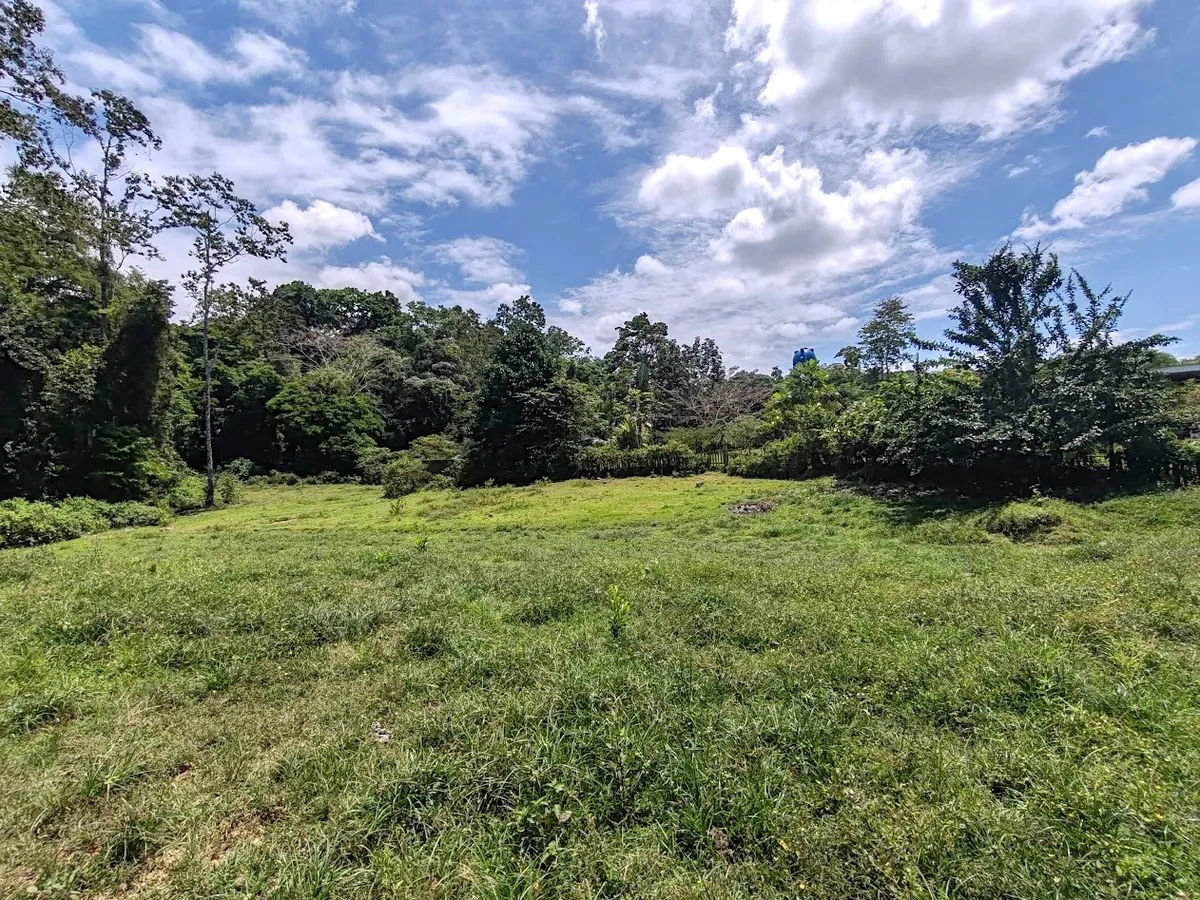 ID 945: 1 Hectare Food Production Estate with 200 sqm Private Pool and Livestock in San Miguel - Gallery image 10
