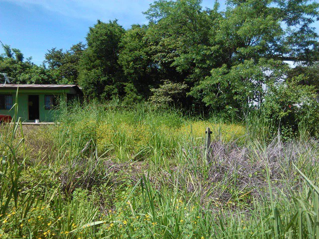 Discovery Park. Property with excellent location - Gallery image 2