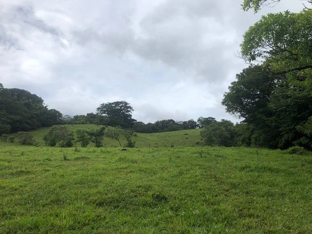 Warm Spring Mountain Property in a tropical landscape and antique wooden house,  50 minutes from Liberia city - Gallery image 3