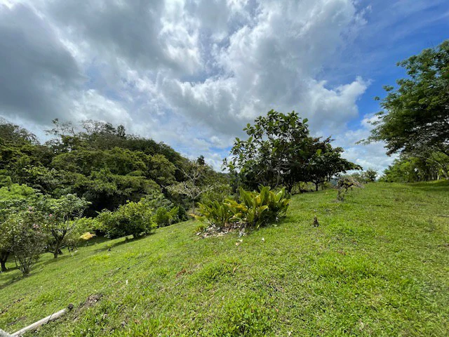 LG-001: Rare 3.36-Acre Lakefront Estate Lot in Nuevo Arenal | Direct Lake Access, Volcano Views & Subdivision Potential - Gallery image 7