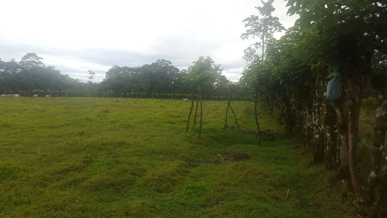 Countryside Development Parcel For Sale in Cariari - Gallery image 12