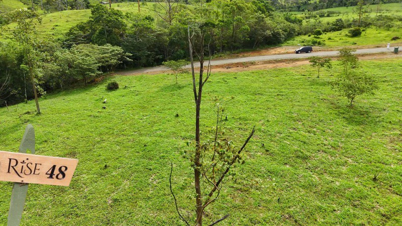 lote 48 RISE: BEAUTIFUL LOT FOR SALE IN THE HEART OF RISE COSTA RICA WITH CREEK (63,475 SQFT) - Gallery image 6