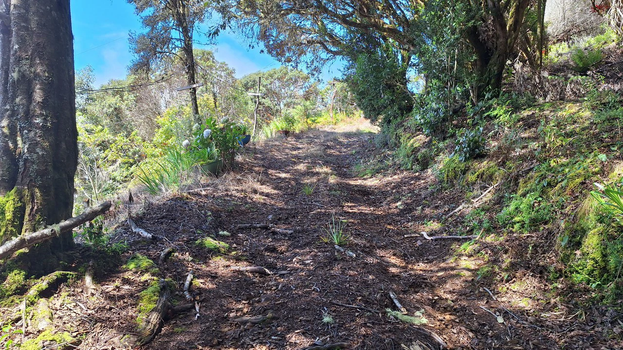 Se vende propiedad Ubicada en División de Paramo.: Mountain Home Construction Site For Sale in Division de Páramo - Gallery image 9