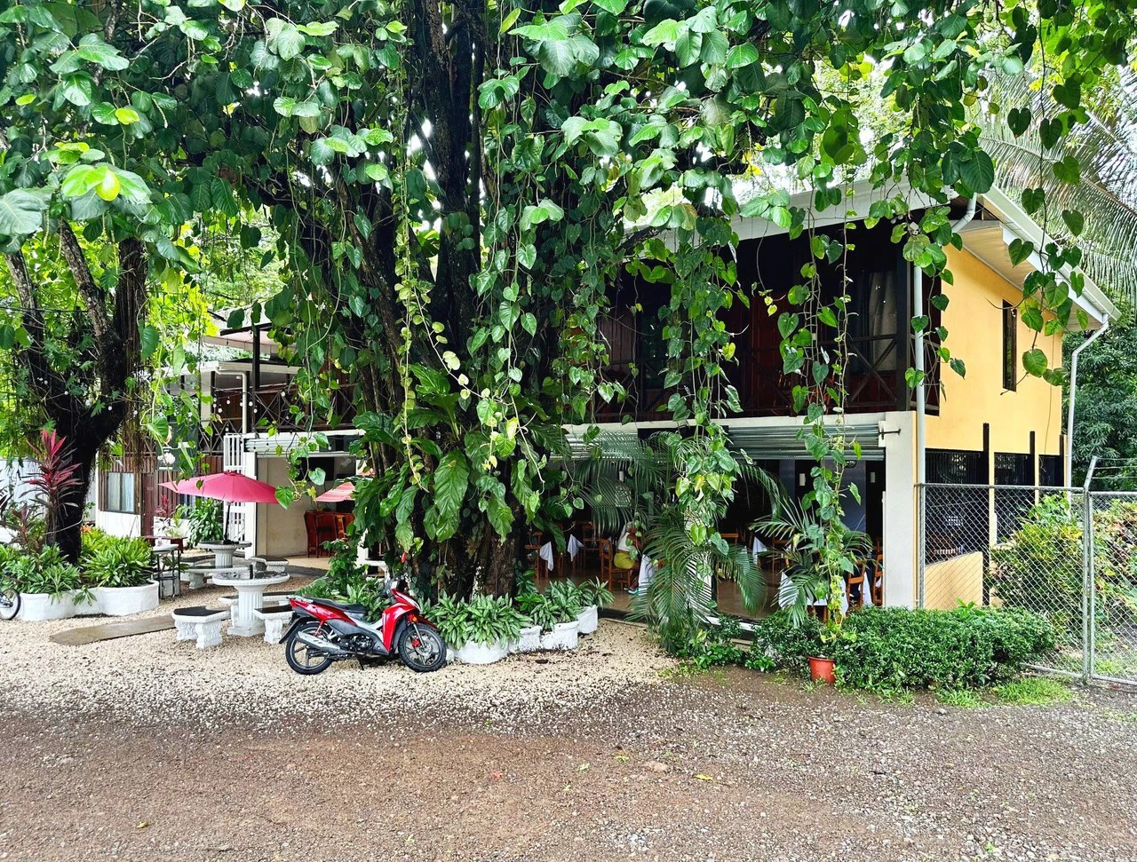 RESTAURANT FOR SALE  with mini Hotel - Gallery image 2