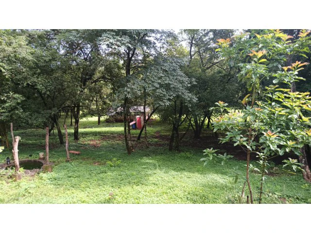 Tamarindo horse farm with two houses, a barn in the best natural setting - Gallery image 11