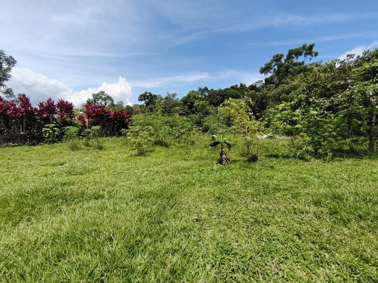 Lote en San Juan Bosco, Perez Zeledon, Costa Rica: Countryside Home Construction Site For Sale in Daniel Flores - Gallery image 11
