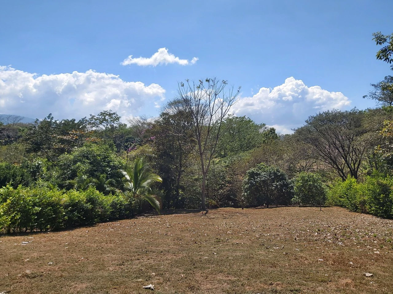 Countryside and Mountain Home Construction Site For Sale in San Juan de Mata - Gallery image 18