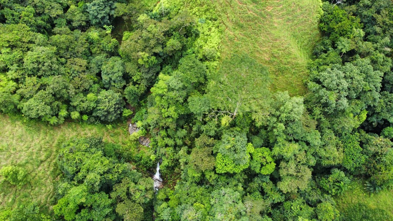 Se vende 39ha en Barú, Perez Zeledón: Mountain Home Construction Site For Sale in Barú - Gallery image 20
