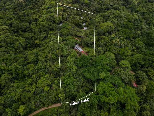 Nosara's Brand New Top Villas as a Business Opportunity in the dense forest of catchment area, 7 villas for sale in Costa Rica's Healthy Blue Zone - Gallery image 27