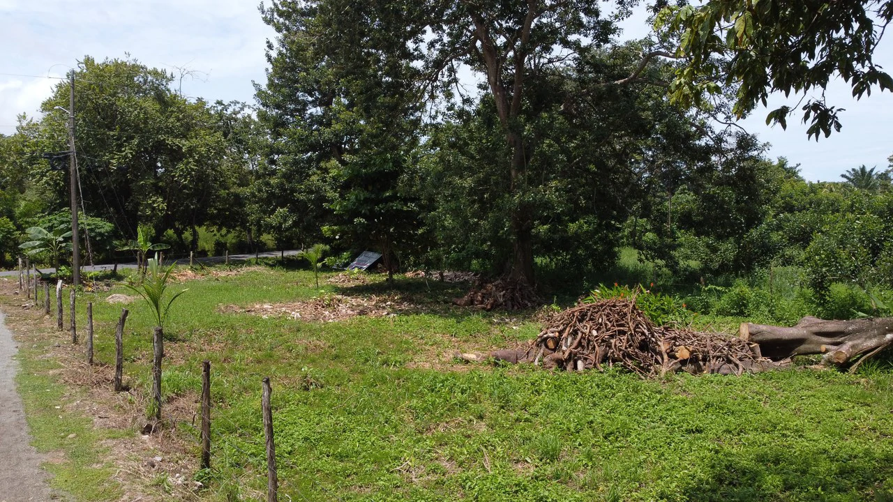 Prime Lot Just 350 Meters from Matapalo Beach – Ideal for Commercial or Residential Development: Near the Coast Development Parcel For Sale in Matapalo - Gallery image 4