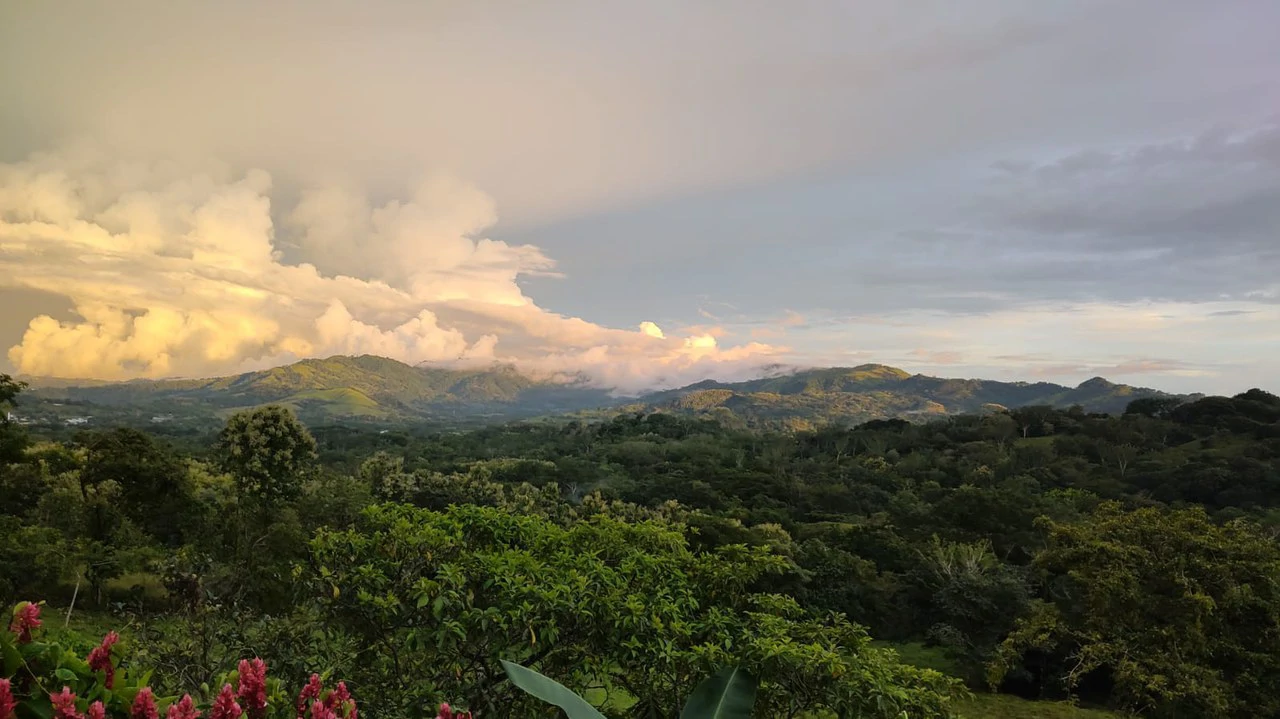 Agricultural Farm for Sale in the mountains of Hojancha, Beautiful 25-acre property with floating lake Apartment and Huge main home - Gallery image 24