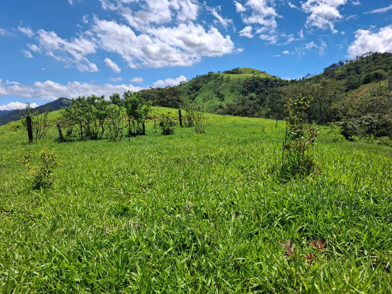 Historic Hilltop Sanctuary: ´Jurassic Park-like´ Development property! - Gallery image 19