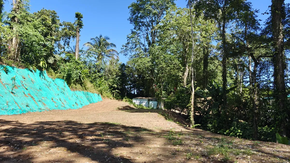 ID 1016: 6974m² Cahuita Titled Jungle Land Near the Beach - Gallery image 5
