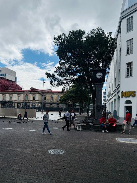 Building Bargain in San Jose Costa Rica - Gallery image 21